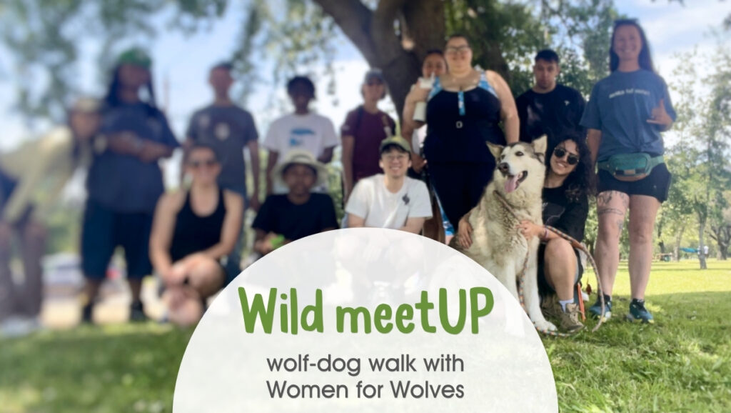 Photo of our group of 12 with Wolf-dog Aria