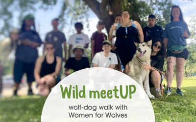 Photo of our group of 12 with Wolf-dog Aria